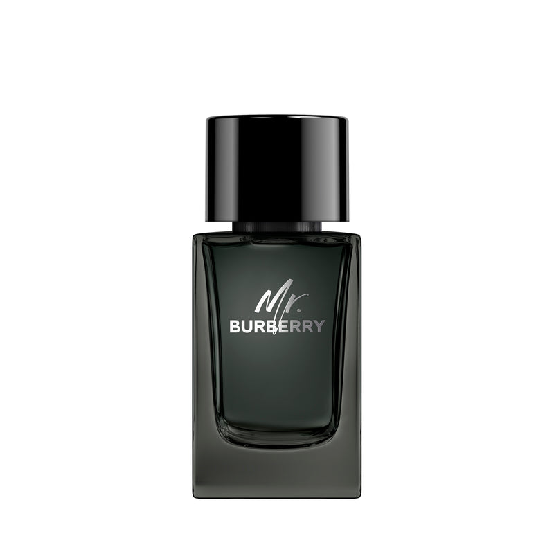 Burberry Mr. Burberry Eau de Parfum for Men 100ml product image