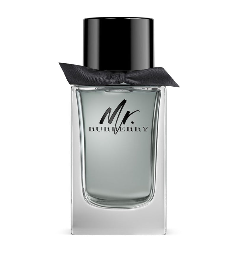 Burberry Mr. Burberry Eau de Toilette for Men 150ml product image