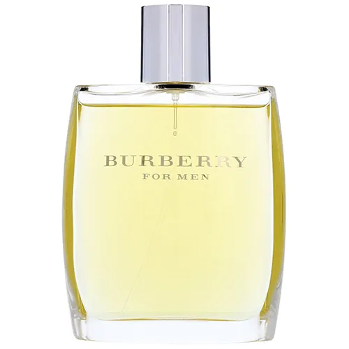 Burberry Classic Eau de Toilette 100ml product image