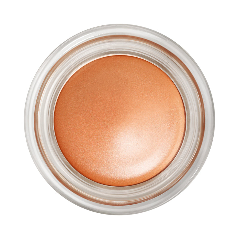 MAC Pro Longwear Paint Pot - Chocolate product image